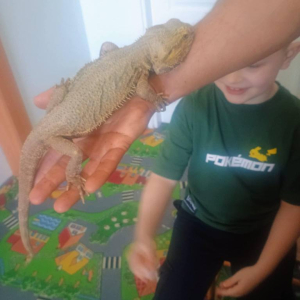 Warsztaty Edukacyjne z Żywymi Zwierzętami