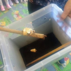 Warsztaty Edukacyjne z Żywymi Zwierzętami
