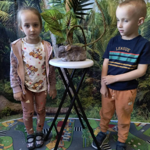 Warsztaty Edukacyjne z Żywymi Zwierzętami