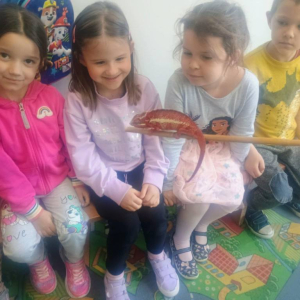 Warsztaty Edukacyjne z Żywymi Zwierzętami