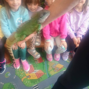 Warsztaty Edukacyjne z Żywymi Zwierzętami