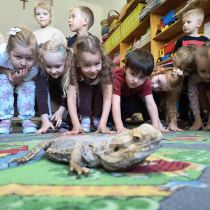 Warsztaty Edukacyjne z Żywymi Zwierzętami