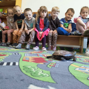 Warsztaty Edukacyjne z Żywymi Zwierzętami