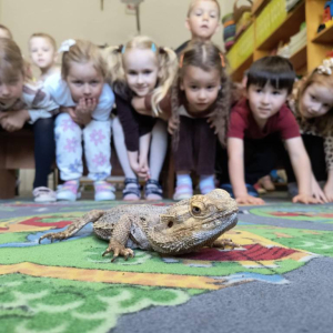 Warsztaty Edukacyjne z Żywymi Zwierzętami