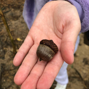 Ognisko czwartoklasistów