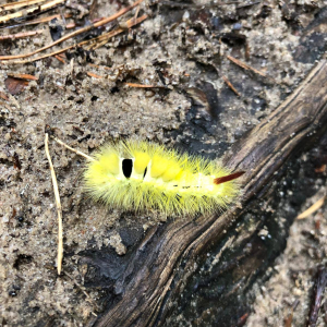 Ognisko czwartoklasistów