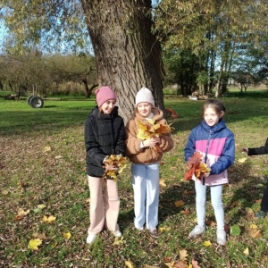 Złota polska jesień w klasie II