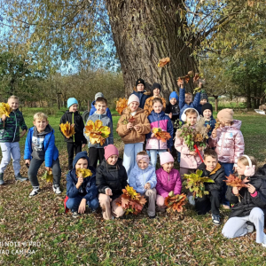 Złota polska jesień w klasie II