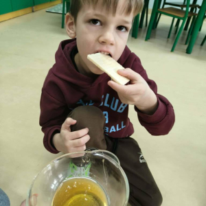 Dzień Pluszowego Misia w zerówce