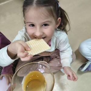 Dzień Pluszowego Misia w zerówce