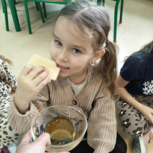 Dzień Pluszowego Misia w zerówce