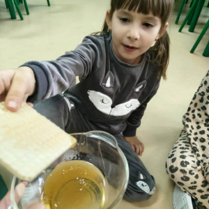 Dzień Pluszowego Misia w zerówce