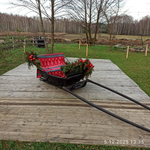 Mikołajkowa wycieczka klas 4 i 5