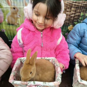 Zerówka w Wiosce Wielkanocnej - Bratkowice