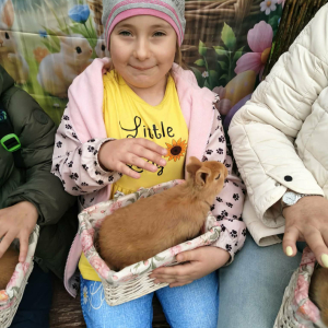 Zerówka w Wiosce Wielkanocnej - Bratkowice