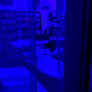 Wyjazd na „Noc Muzeów” do Krakowa