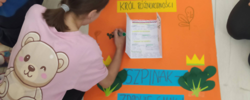 FESTIWAL DLA ZDROWIA – Gra Szkolna na Padlecie