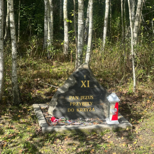 XXII Patriotyczna Droga Krzyżowa